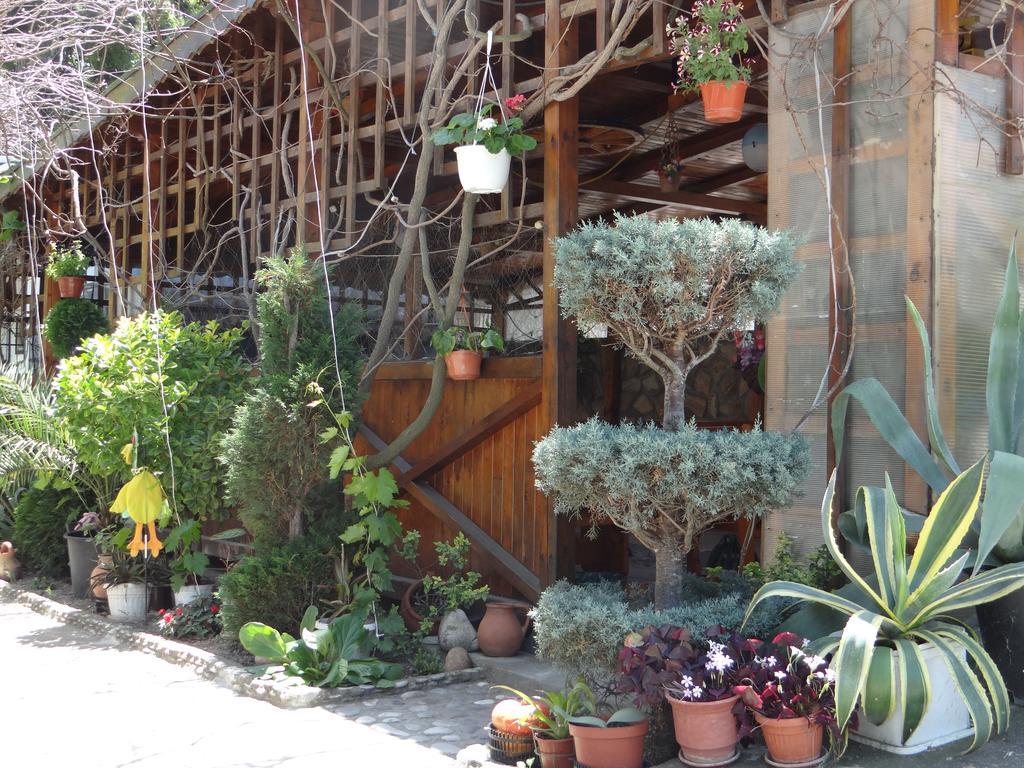Guest House Rusalka Byala  Exterior photo